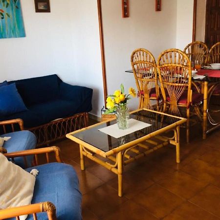 Canarian Garden Building Jardines Canarios Leilighet Los Cristianos  Eksteriør bilde